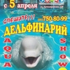 В Челябинск едет дельфинарий