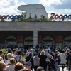 Зоопарк зовет в гости. Отменили плату для многодетных семей