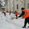 Петербуржцам объяснили, куда жаловаться на плохую уборку улиц и дворов