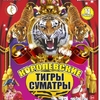 Мам Челябинска приглашают на викторину «Королевские тигры Суматры»