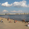 Петербург и Ленобласть на двоих набрали меньше десятка безопасных для купания водоемов